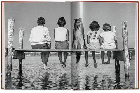 Dogs: Photographs 1941-1991 - фото 13