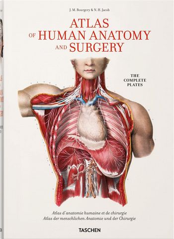 Bourgery. Atlas of Human Anatomy and Surgery (Multilingual Edition) - фото 1