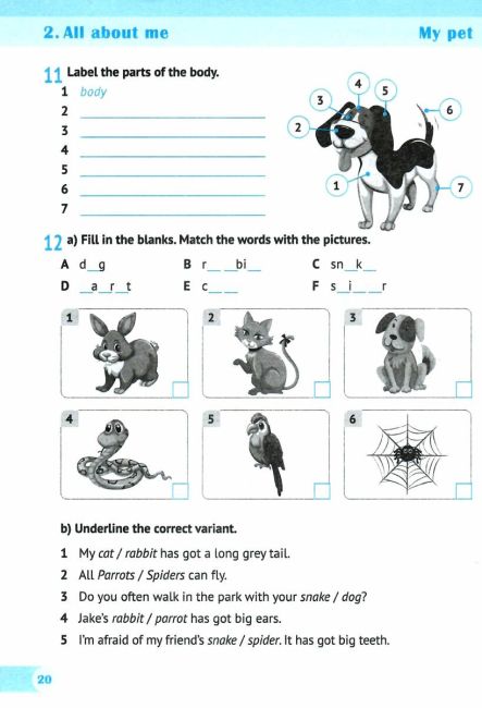 Робочий зошит Англійська мова 5 клас НУШ До підручника Г. Мітчелла Авт: Косован О. Вітушинська Н. Вид-во: Підручники і посібники - фото 5