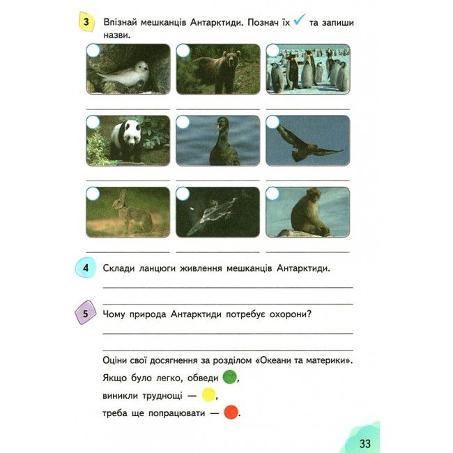Робочий зошит Я досліджую світ 4 клас Частина 2 НУШ До підручника Гільберг Т. Авт: Єресько Т. Вид-во: Сиция - фото 8