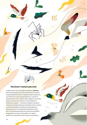 Вітер - фото 10