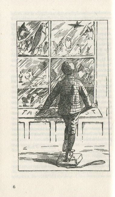 Two Little Savages / Два маленьких дикуни Ernest Thompson Seton Вид-во: Знання - фото 6