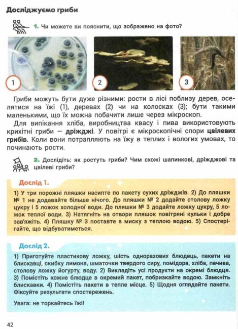 Підручник Я досліджую світ 3 клас Частина 2 НУШ Авт: Іщенко О. Ващенко О. та ін Вид-во: Літера - фото 5