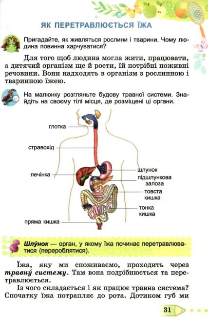 Підручник Я досліджую світ 3 клас Частина 2 НУШ Авт: Гільберг Т. Тарнавська С. Грубіян Л. Павич Н. Вид-во: Генеза - фото 6