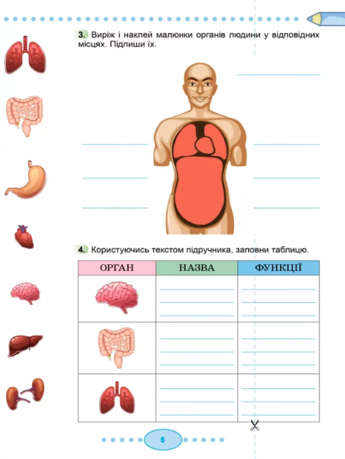 Підручник Я досліджую світ 3 клас Частина 2 НУШ Авт: Гільберг Т. Тарнавська С. Грубіян Л. Павич Н. Вид-во: Генеза - фото 5