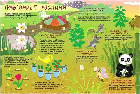 Таємне життя рослин - фото 4