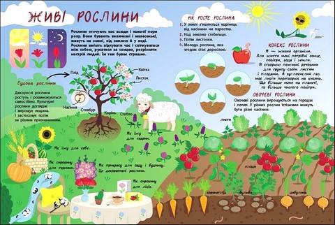 Таємне життя рослин - фото 5