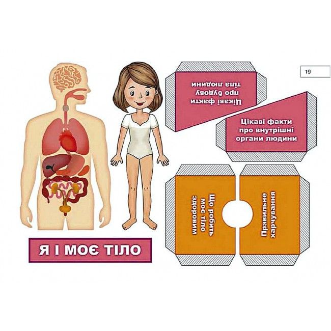 Альбом-посібник з дизайну та технологій Майстер Саморобко 3 клас НУШ До підручника Гільберг Т. та ін. Авт: Бровченко А. Копитіна Н. Вид-во: Підручники і посібники - фото 8