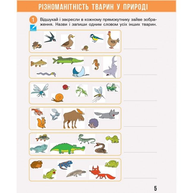 Робочий зошит Я досліджую світ 3 клас Частина 2 НУШ Авт: Бібік Н.М. Бондарчук Г.П. Вид-во: Ранок - фото 8