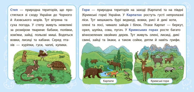 Навчальні міні-плакати Я у світі 3 клас Авт: Сікора Ю.О. Вид-во: УЛА - фото 3