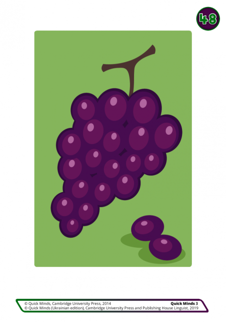 Картки Flashcards Quick Minds 3 клас НУШ Авт: Г. Пухта та ін. Вид-во: Лінгвіст - фото 4
