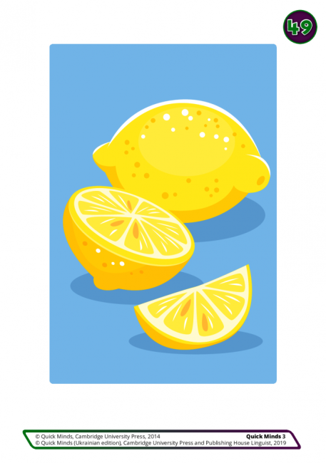 Картки Flashcards Quick Minds 3 клас НУШ Авт: Г. Пухта та ін. Вид-во: Лінгвіст - фото 5