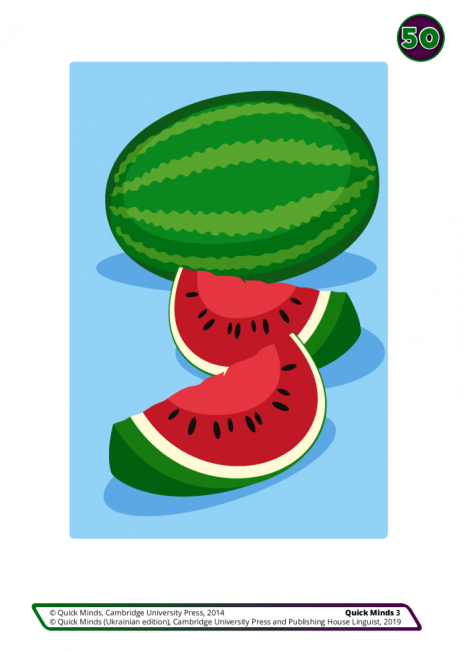 Картки Flashcards Quick Minds 3 клас НУШ Авт: Г. Пухта та ін. Вид-во: Лінгвіст - фото 6