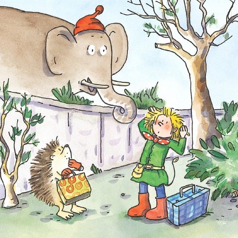 Піксі у Швейцарії - фото 6