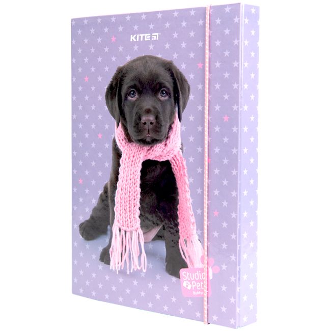 Папка для зошитів B5 SP23-210/SP22-210 на гумці - фото 1