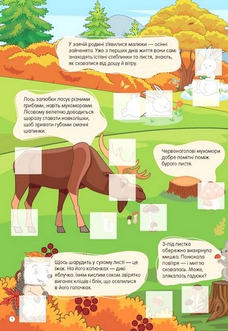 У лісі - фото 2