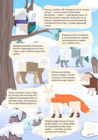 У лісі - фото 4