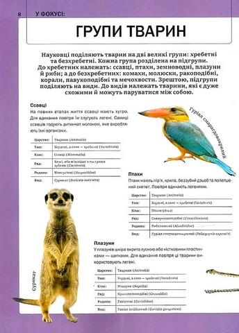 Велика книга тварин - фото 4