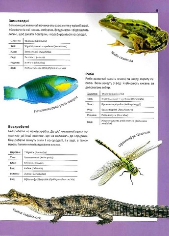 Велика книга тварин - фото 5