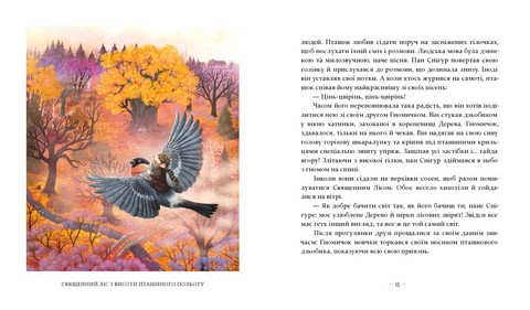 Різдвяні оповідки про гнома та видимих і невидимих лісових мешканців - фото 2