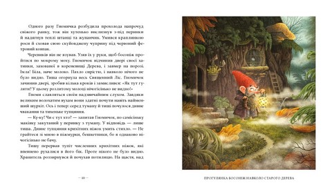 Різдвяні оповідки про гнома та видимих і невидимих лісових мешканців - фото 3