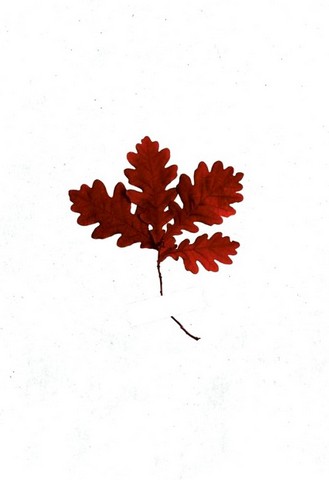 Шлях від безпритульника до мільйонера - фото 2