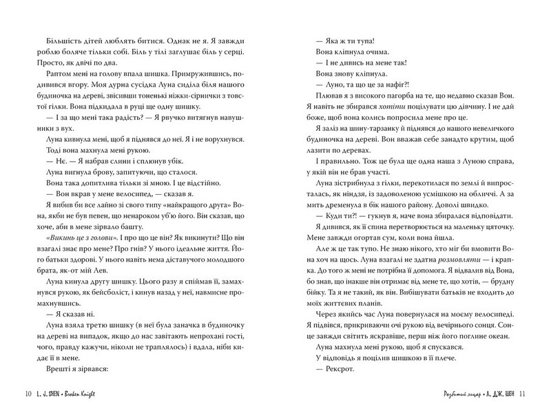 Розбитий лицар - фото 2