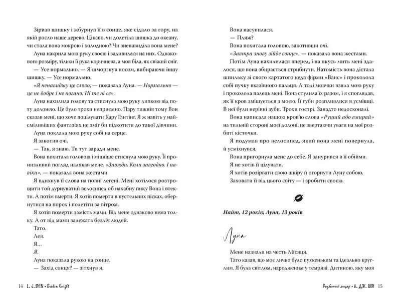 Розбитий лицар - фото 3