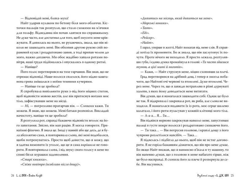 Розбитий лицар - фото 4