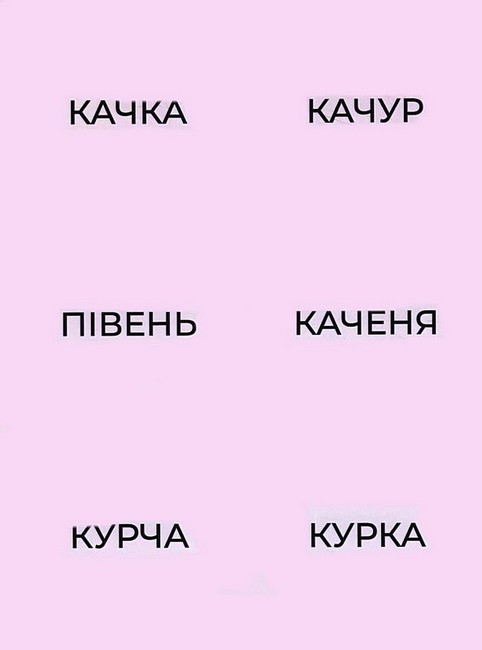 Пограйся з нами і запамятай. Предметні картки - фото 3