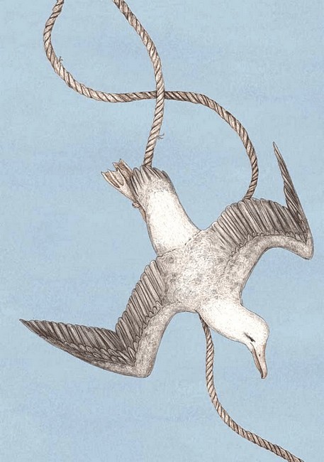 Орнітографія. Ілюстрований довідник із пташиної символіки та легенд - фото 4