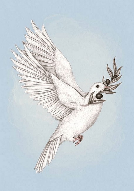 Орнітографія. Ілюстрований довідник із пташиної символіки та легенд - фото 8