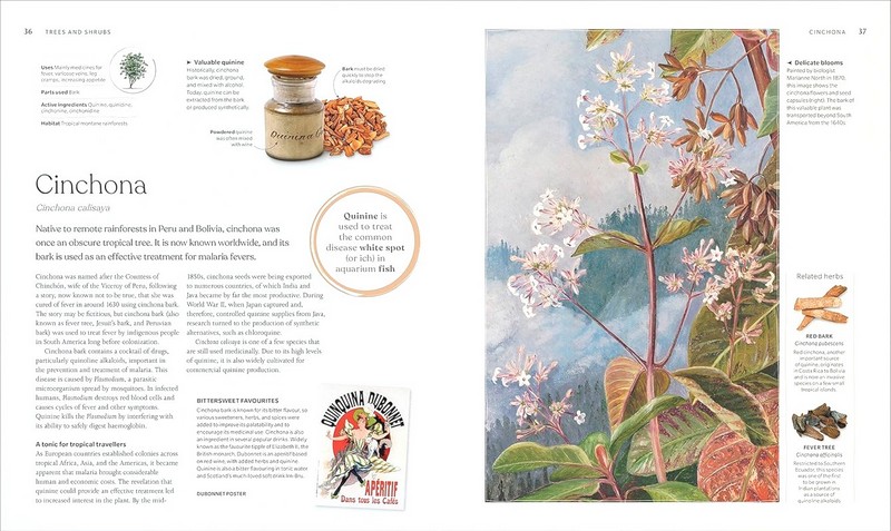 The Herb Book. The Stories, Science, and History - фото 2