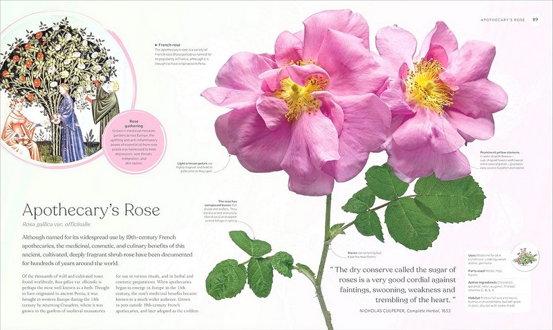 The Herb Book. The Stories, Science, and History - фото 5