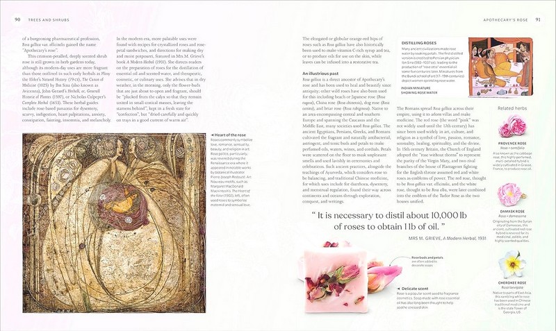 The Herb Book. The Stories, Science, and History - фото 6