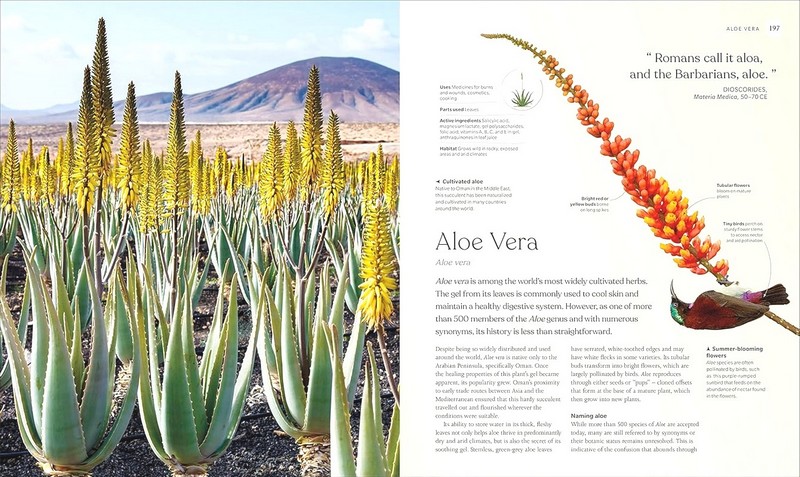 The Herb Book. The Stories, Science, and History - фото 7