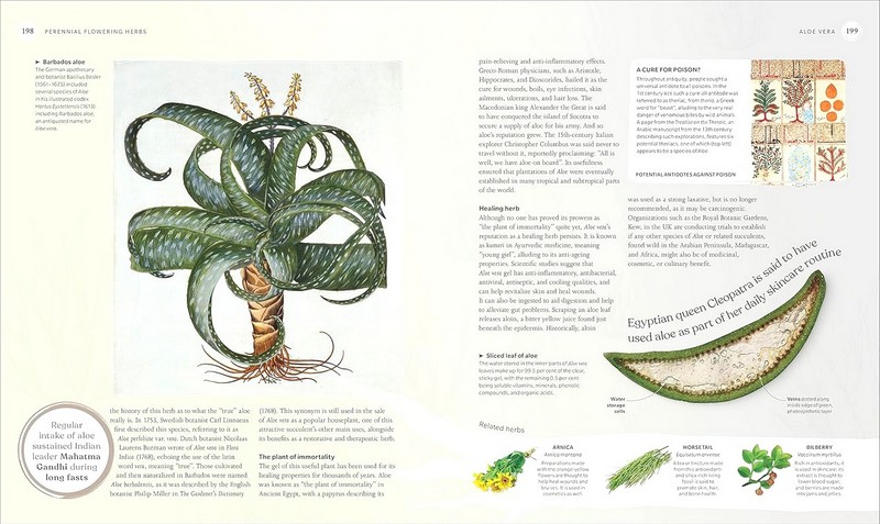 The Herb Book. The Stories, Science, and History - фото 8