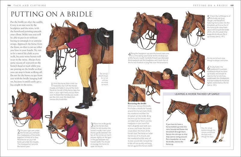 Complete Horse Care Manual - фото 9