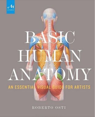 Basic Human Anatomy. An Essential Visual Guide for Artists - Творчість