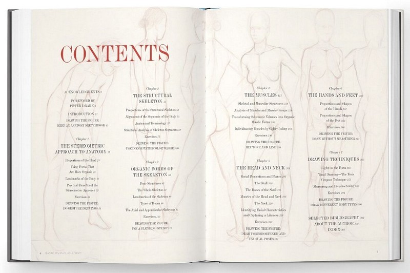 Basic Human Anatomy. An Essential Visual Guide for Artists - фото 7