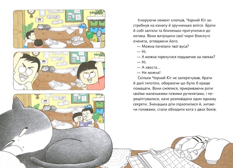 Чорний Кіт помічник. Дотримуйтеся порядку в резиденції! - фото 4