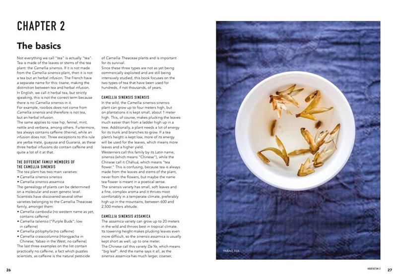 Tea. Wines Sober Sibling - фото 6