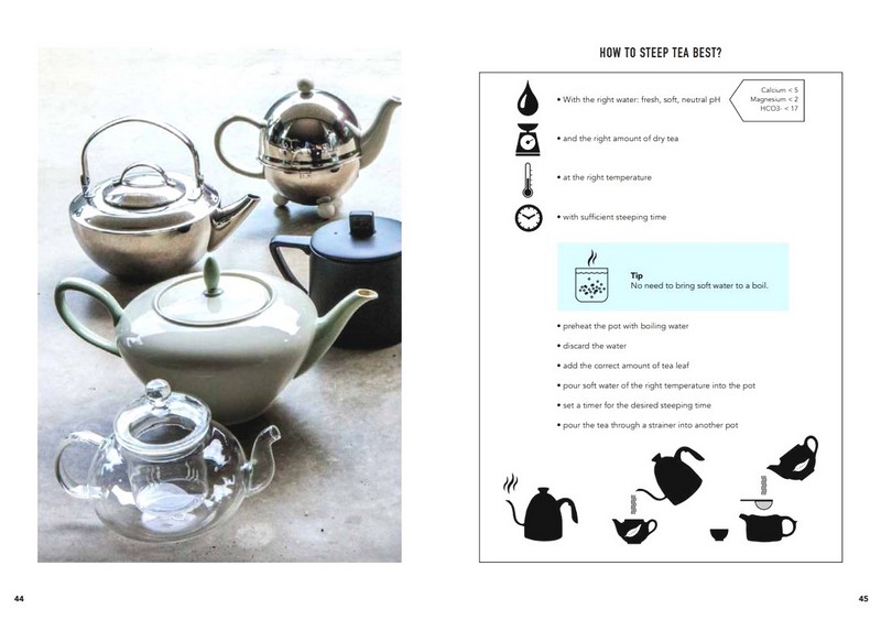 Tea. Wines Sober Sibling - фото 8