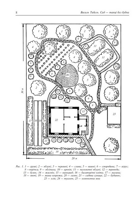 Сад - танці без бубна - фото 6