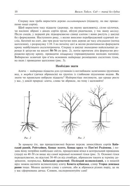 Сад - танці без бубна - фото 8