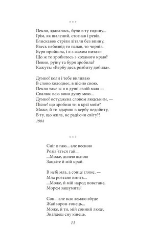 З журбою радість обнялась. Поезії - фото 4