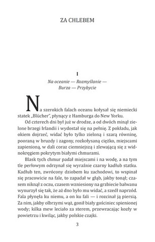 Za chlebem - фото 2