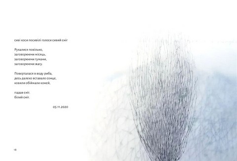 Замість яблук Авт: І. Скиба-Якубова Вид-во: Видавництво Старого Лева - фото 5