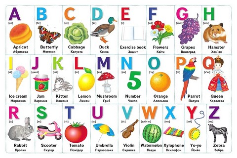 Перші знання малюка + англійська Авт: Є. Новоспаська Вид-во: Пегас - фото 3