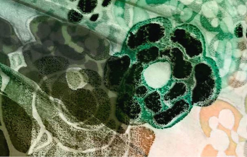 The Flowers of Yves Saint Laurent - фото 2